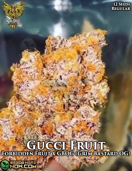 gucci bx strain|gucci fruit strain.